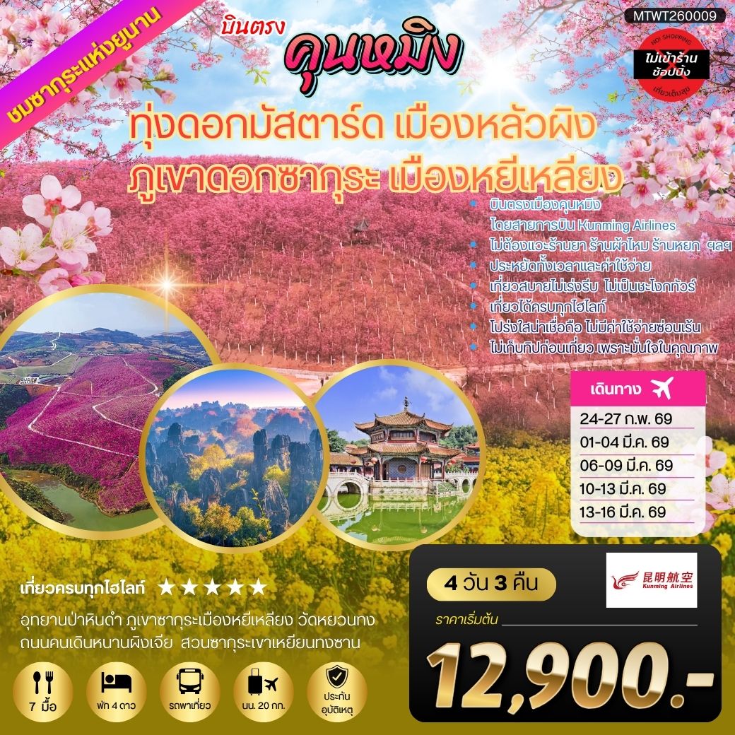 ทัวร์จีน คุนหมิง ชมทุ่งดอกมัสตาร์ด เมืองหลัวผิง ชมภูเขาดอกซากุระ เมืองหยีเหลียง *ไม่เข้าร้าน * 4วัน 3คืน  (KY)