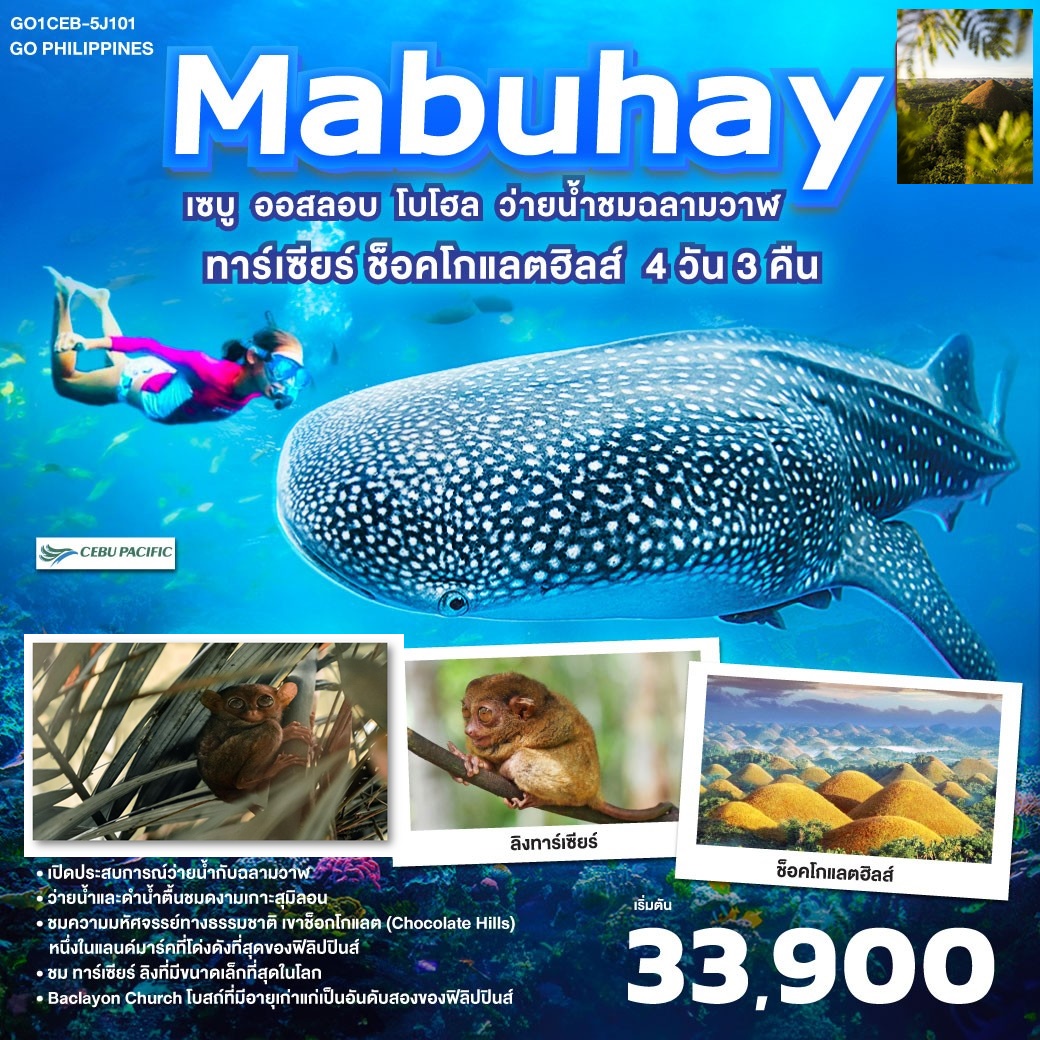 GO Philippines Mabuhay เซบู  ออสลอบ โบโฮล ว่ายน้ำกับฉลามวาฬ ชมทาร์เซียร์ ช็อคโกแลตฮิลส์  4วัน3คืน โดยสายการบิน Cebu Pacific (5J)